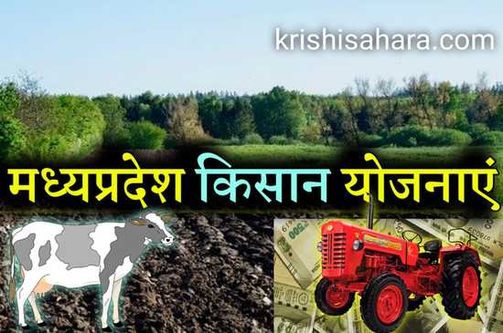 मध्य-प्रदेश-में-किसानों के-लिए-योजना